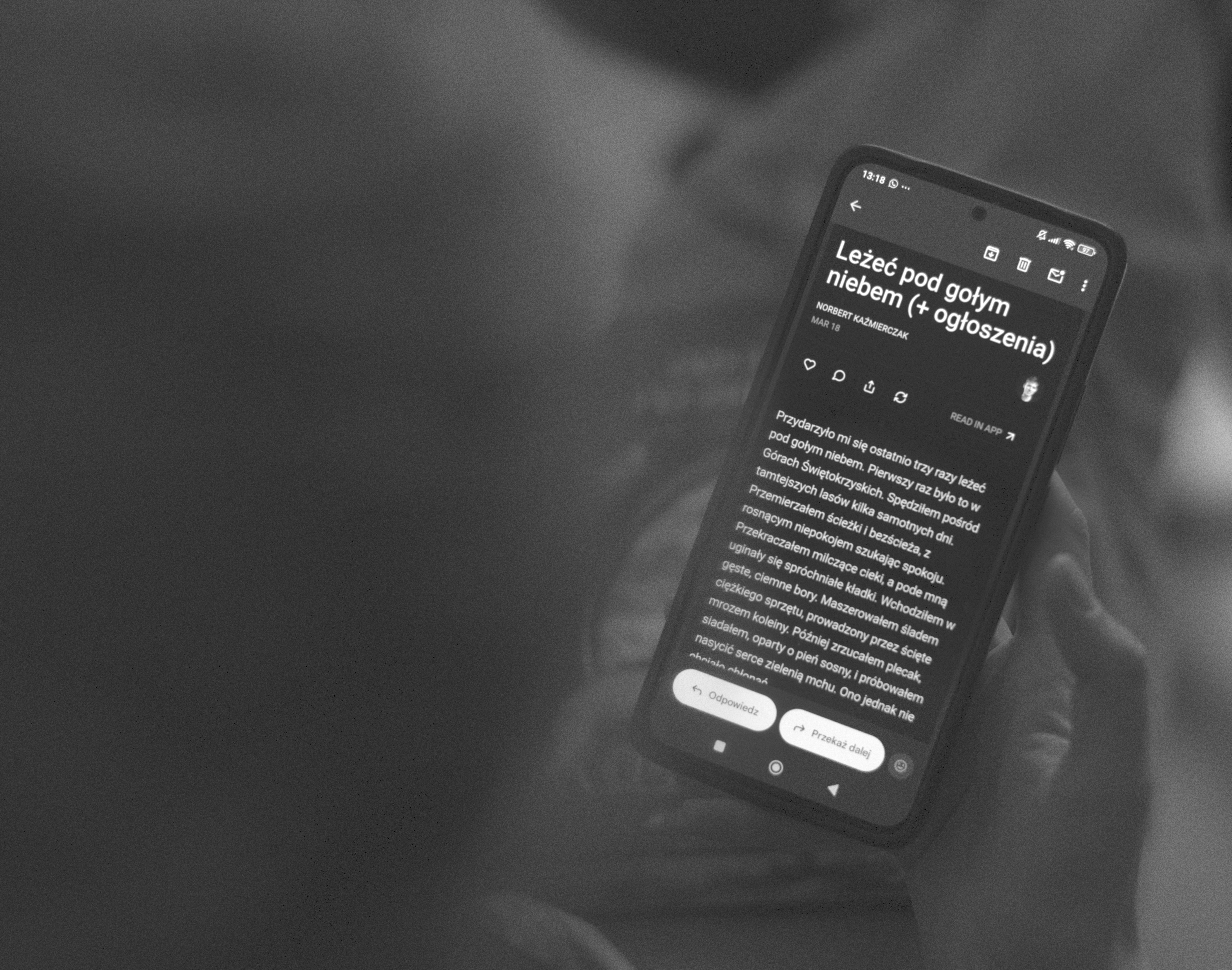 Café Dziejba — newsletter literacki